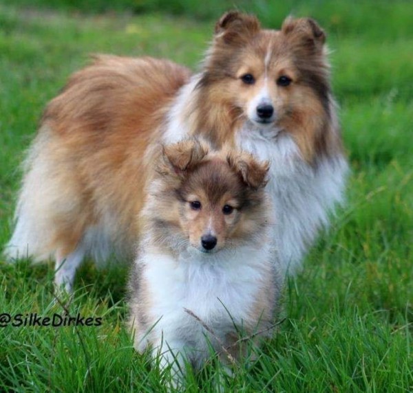 Bild: Alice und Chilly